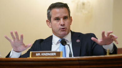 Adam kinzinger is the rare republican with guts as he calls the nra a grifting scam