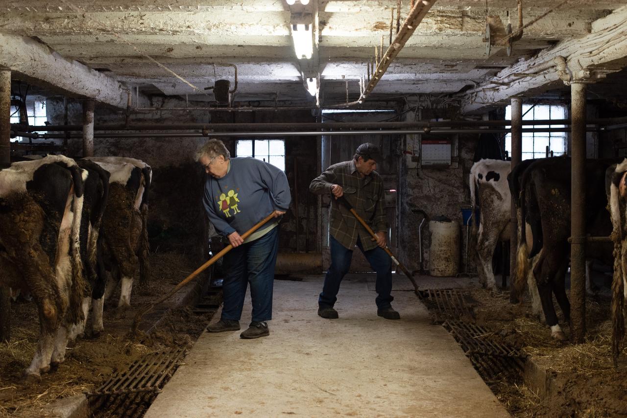 City country big american background stock supply resilient chain food rural agritechtomorrow urban america crises coronavirus increases tend weaknesses chains How americas farmers got cut out of the supply chain