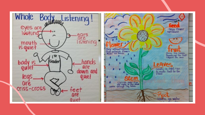 Anchor charts 101 why and how to use them