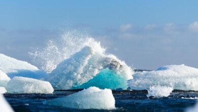 New ipcc report looks at neglected element of climate action people