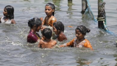 World swelters through its hottest summer on record for the second year running