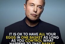 51 elon musk quotes ranked in order of pure elon muskiness