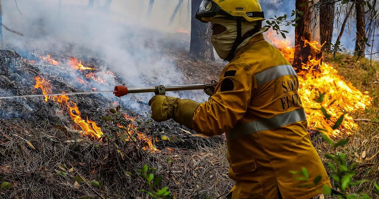 Thousands of firefighters battling ongoing blazes in portugal