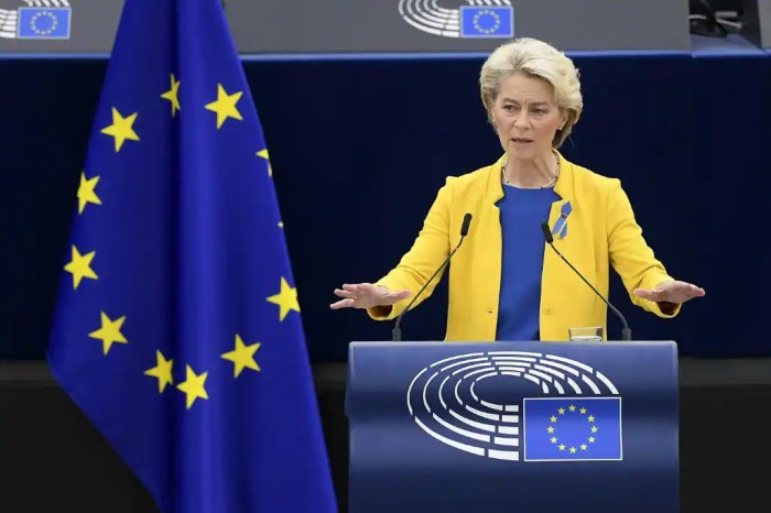 Dont downgrade equality rights groups warn von der leyen