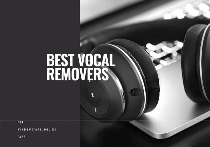 Complete guide to the best vocals remover