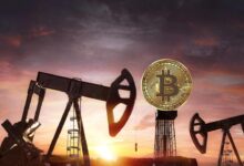 Bitcoin and crude oil how are these commodities for investment