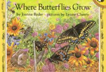 16 butterfly books worth fluttering for