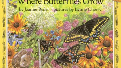 16 butterfly books worth fluttering for