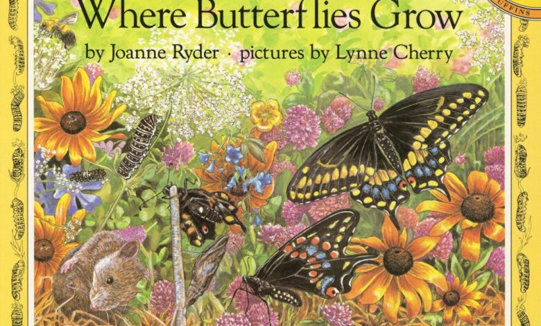 16 butterfly books worth fluttering for