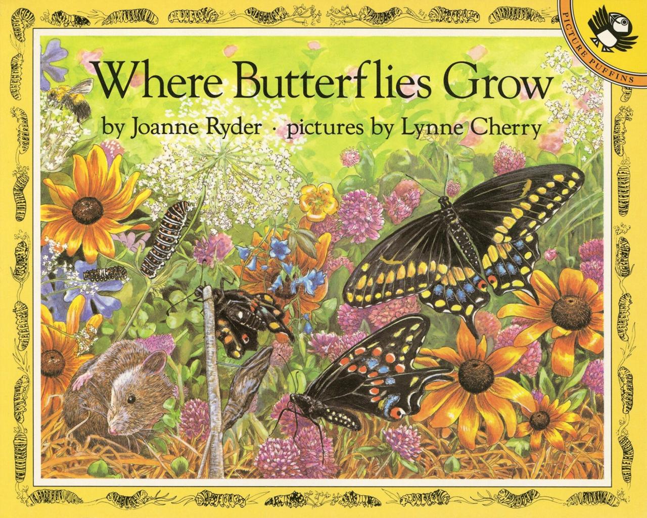 16 butterfly books worth fluttering for