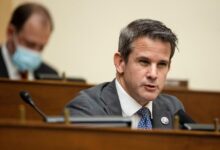 Transcript rep adam kinzinger on