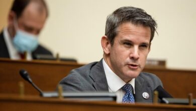 Transcript rep adam kinzinger on