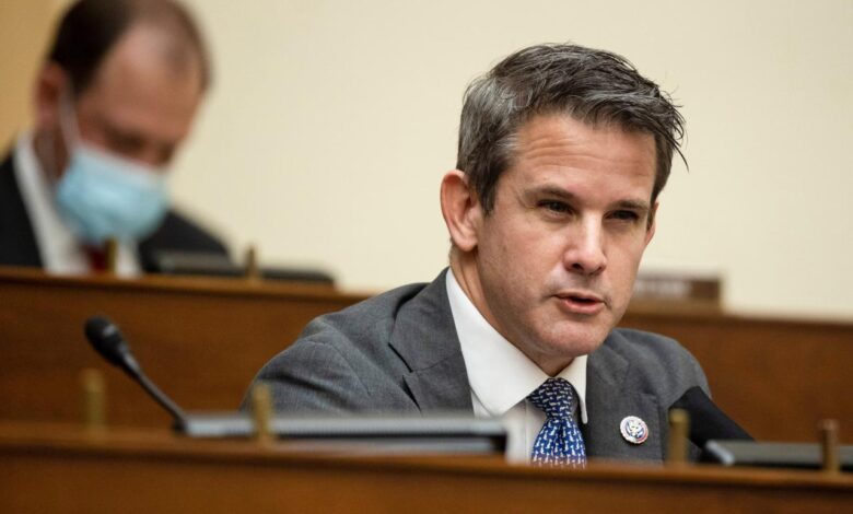 Transcript rep adam kinzinger on