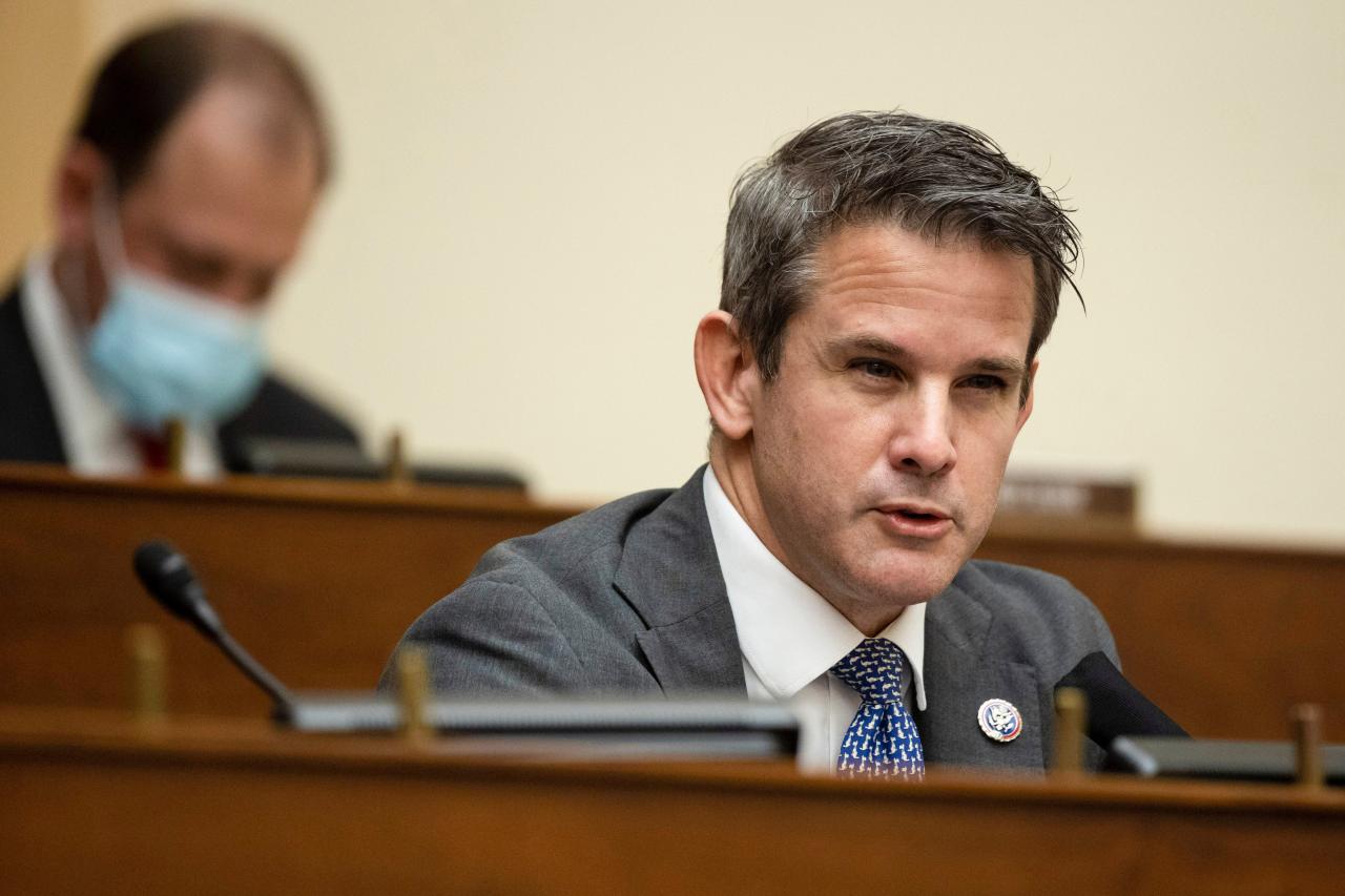 Transcript rep adam kinzinger on