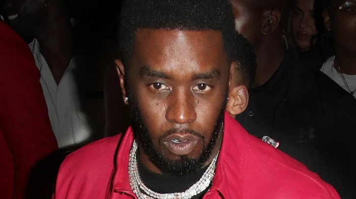 Diddy denied bail at appeal hearing