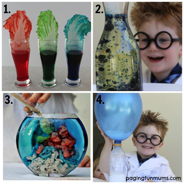 Activities grade stem kids science genius ideas