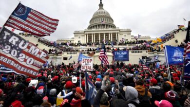 Analysis insurrection sedition incitement a legal guide to the capitol riot