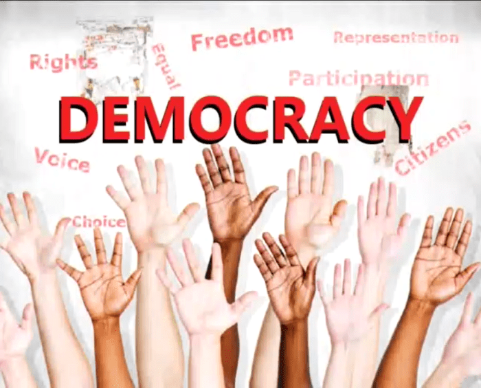 Democracy constitution constitutional