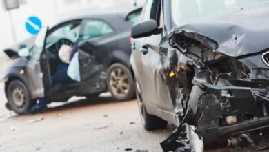 Woman and four horses dead after renfrewshire road crash