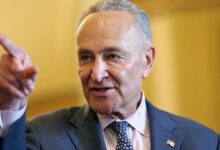 Chuck schumer the happy worrier delivers