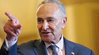 Chuck schumer the happy worrier delivers