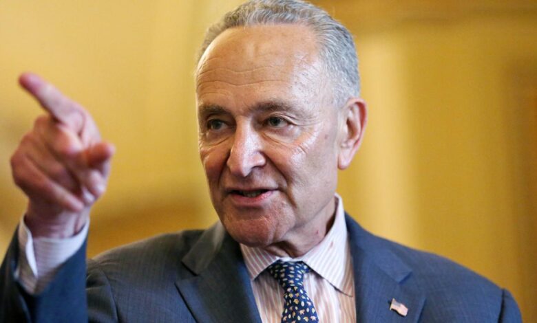 Chuck schumer the happy worrier delivers