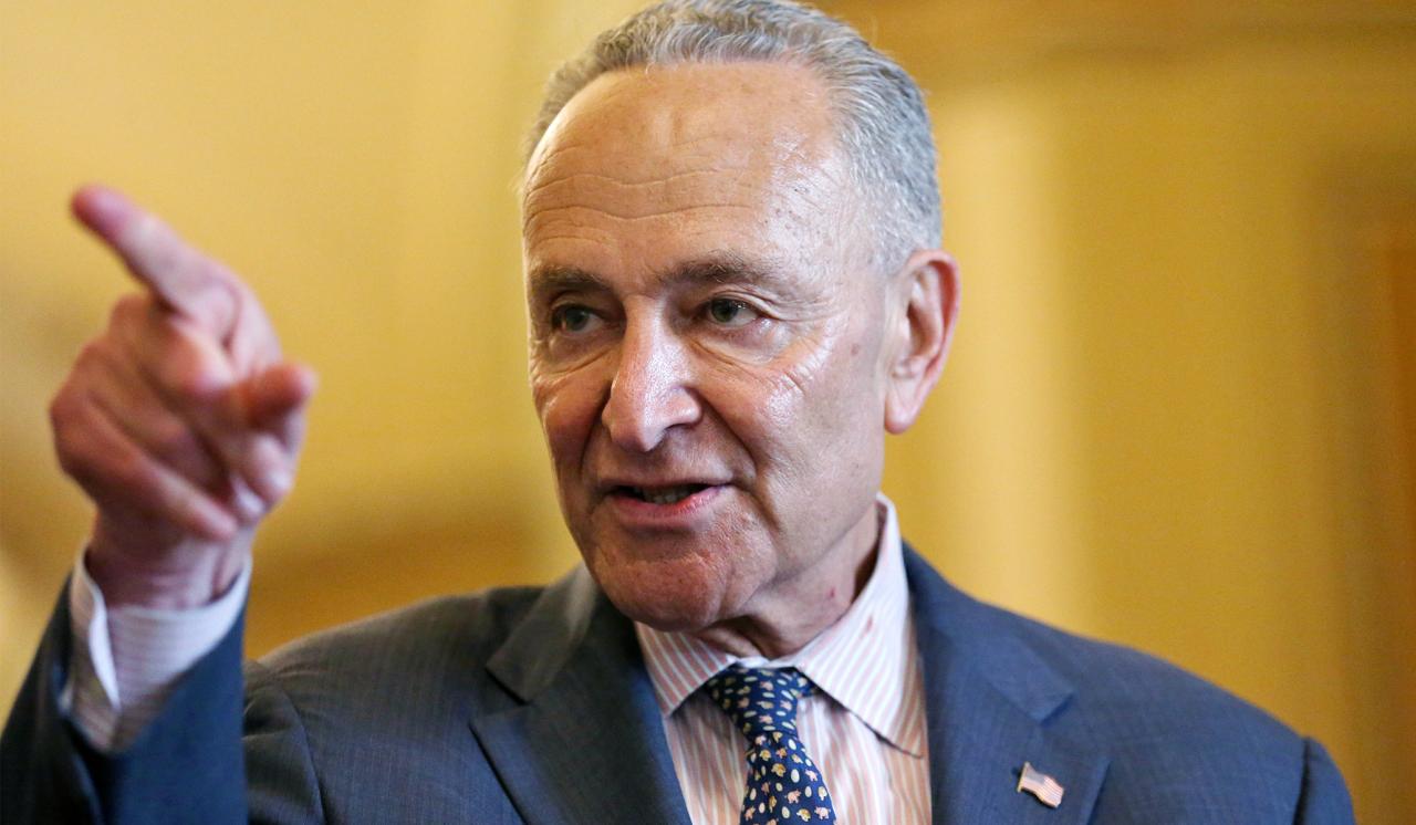 Chuck schumer the happy worrier delivers