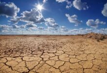 Climate fears on back burner as fuel costs soar and russia crisis deepens