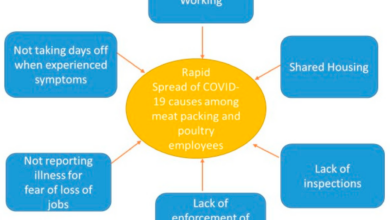 What did covid teach us about preparing for a plant pandemic