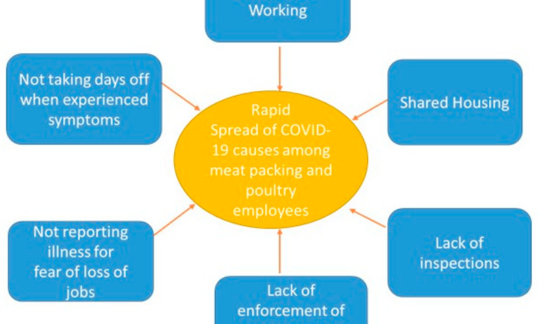 What did covid teach us about preparing for a plant pandemic