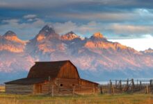 6 things to watch in wyoming and alaska elections