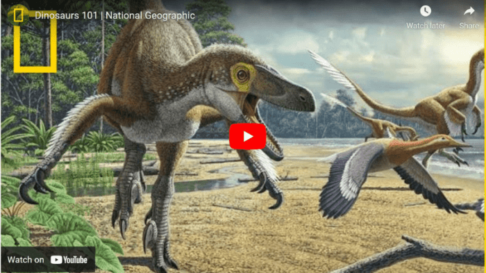 14 dino mite dinosaur videos to share in your classroom