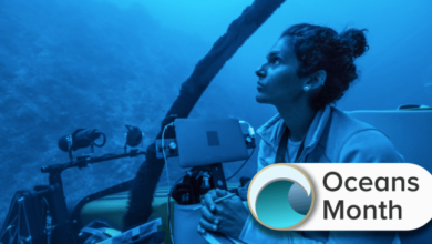 A different perspective this top marine scientist is determined to resolve deep sea minings murky future