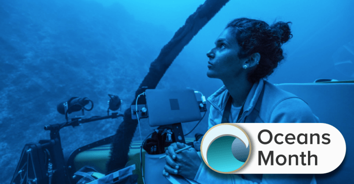 A different perspective this top marine scientist is determined to resolve deep sea minings murky future