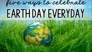 Celebrate earth day with these sustainable sparklers