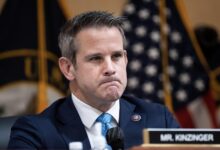 Kinzinger says next jan 6 hearing on trumps actions will open peoples eyes in a big way