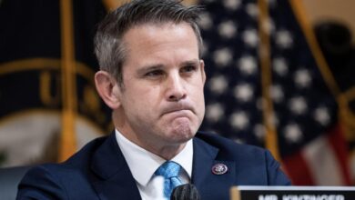 Kinzinger says next jan 6 hearing on trumps actions will open peoples eyes in a big way