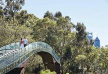 Kings park guide perth ultimate aug 10th franklyn anna