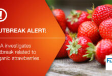 Fda strawberries recalled as hepatitis a virus outbreak has left 16 hospitalized