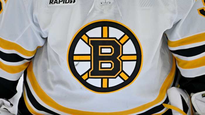 Bruins poitras is perfect fit for second line winger role the hockey writers boston bruins latest news analysis more