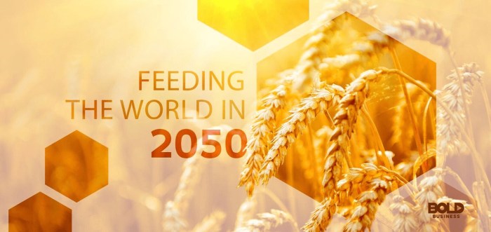 Population and feeding the world