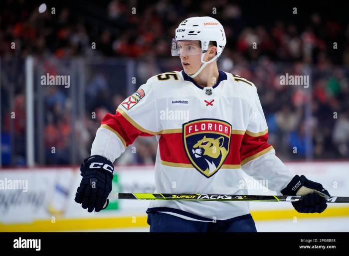 Panthers plan to make anton lundell a top 6 center the hockey writers florida panthers latest news analysis more