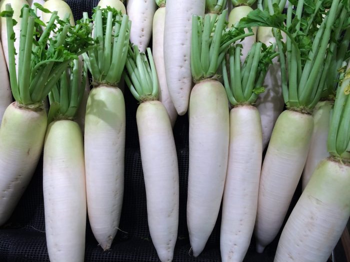 What is daikon the crispest coolest vegetable we know