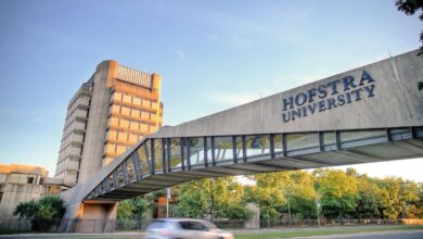 Hofstra studies island long institute appointment currently collections non special open only