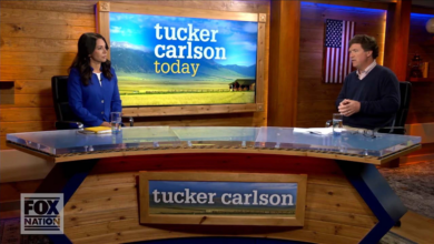 Tulsi gabbard and tucker carlson featured in stunning exchange on russian tv