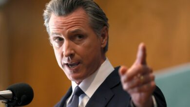 Gavin newsom vetoes california bill creating first in nation ai safety measures