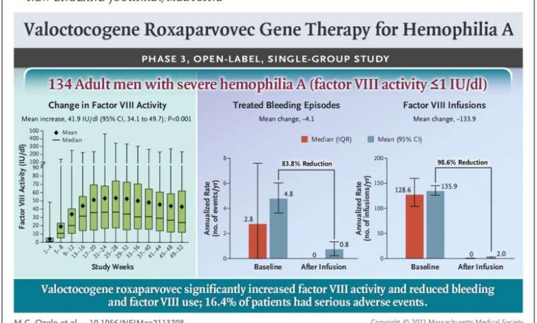 Gene therapy trial shows early success in people with haemophilia b