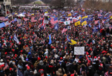 Jan 6 committee uses peter navarros own election plot boasts to argue contempt case