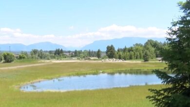 Ryan zinke broke ethics rules as interior secretary inquiry finds