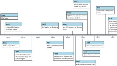 A chronology of the global human rights struggle